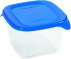  Curver Fresh&Go Food Container 0,45L Square Dark Blue/Transparent (6/carton)