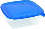   Curver Fresh&Go Food Container 0,8L Square Dark Blue/Transparent (6/carton)