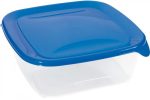   Curver Fresh&Go Food Container 1,7L Square Dark Blue/Transparent (4/carton)