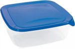   Curver Fresh&Go Food Container 2,9L Square Dark Blue/Transparent (4/carton)