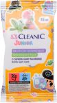   Cleanic Refreshing Wet Wipes - Antibacterial JUNIOR 15 pcs (24/carton)